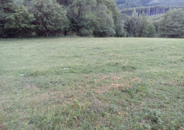 11 200 m2 Pozemok  - lúka (trvalý trávny porast ) na predaj