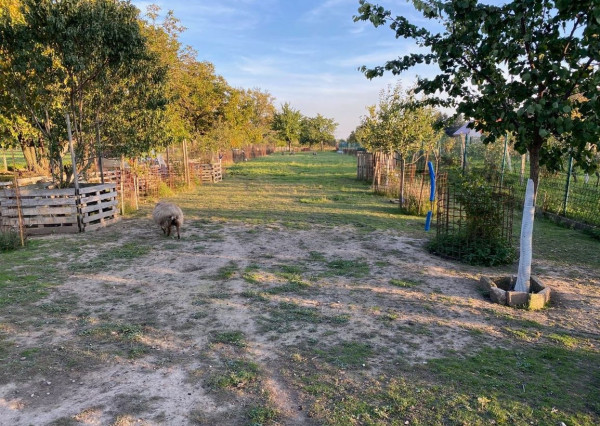 EXKLUZÍVNE - Stavebný pozemok vo Zvončíne, 990m2 TOP