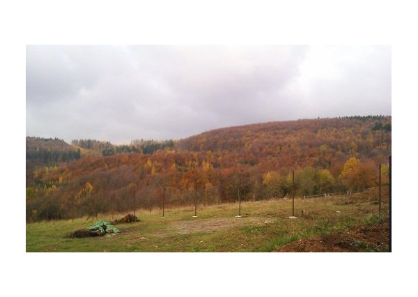 Pozemok – záhrada, Dolná Súča, okres Trenčín