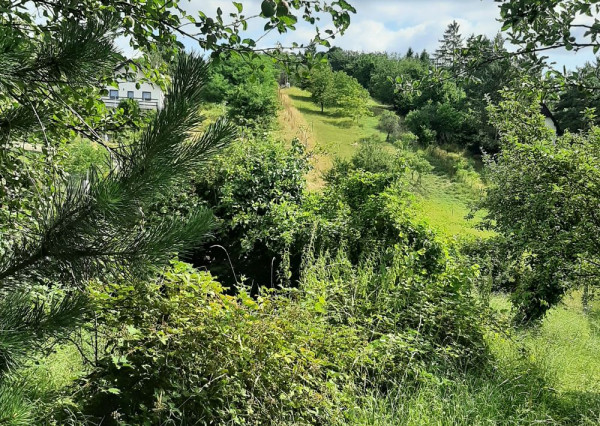 Pozemok na predaj - Stupava