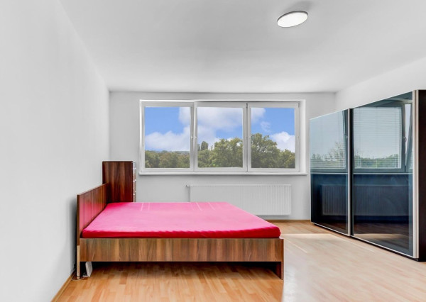 Krásny svetlý 1izb. Byt na Haanovej ulici