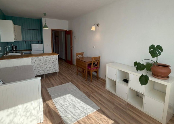 Prakticky riešený 1 izbový byt na prenájom v Novom Meste, Bratislava III TOP