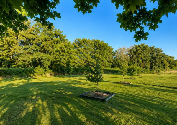 Na predaj rekreačný pozemok s výmerou 1113m2 - Čunovo 