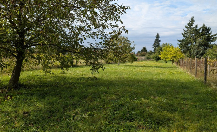 Stavebný pozemok, Viničné