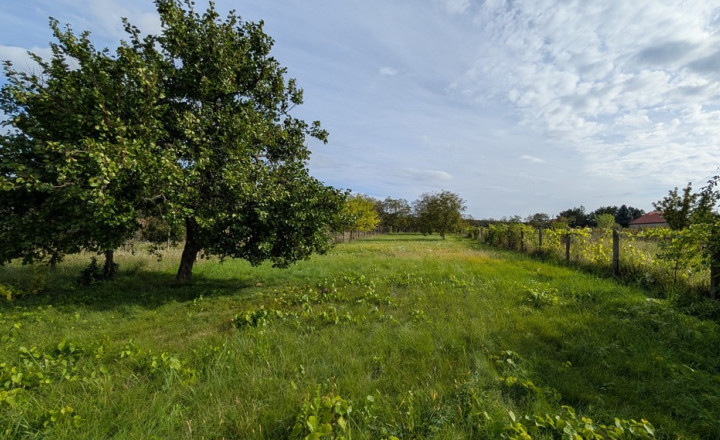 Stavebný pozemok, Viničné - fotografia 1