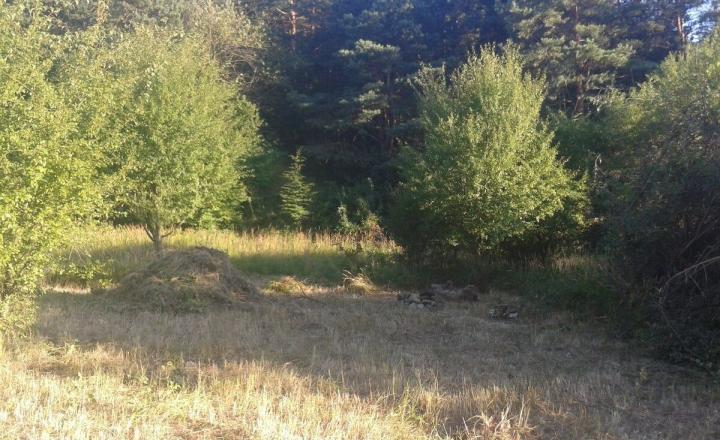 Stavebný pozemok - Jablonové, okres Malacky - fotografia 5