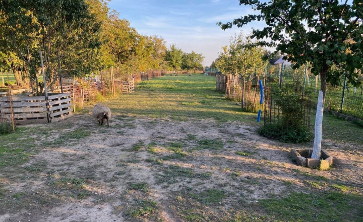EXKLUZÍVNE - Stavebný pozemok vo Zvončíne, 990m2 TOP