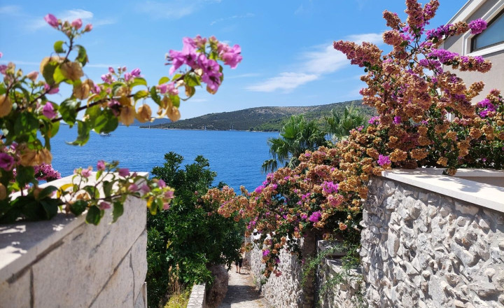 Trogir, Seget Vranjica – Vila s 3 apartmánmi - fotografia 4