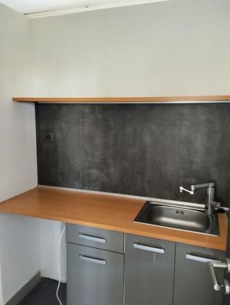 Samostatný oplotený objekt 2100 m2 Devínska Nová Ves - fotografia 8