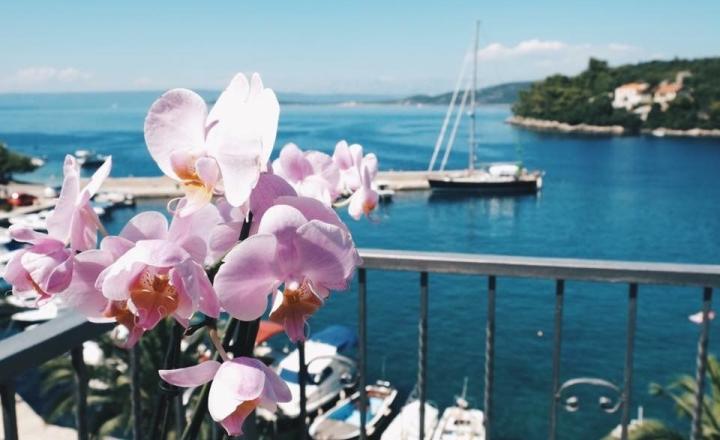Priestranný apartmán s dvoma spálňami a výhľadom na more, Račišće, ostrov Korčula - fotografia 4