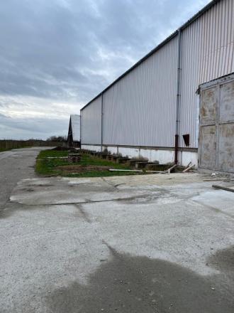 Skladová hala 3900 m2 na prenájom Trnava, Zavar - fotografia 6