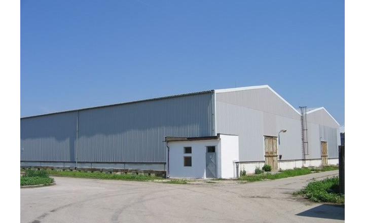 Skladová hala 3900 m2 na prenájom Trnava, Zavar - fotografia 16