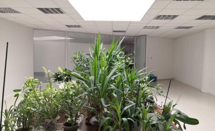 Prenájom Open spacu - Palisády, 130 m2 - fotografia 11
