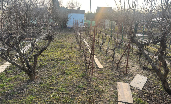 Na predaj záhrada s podpivničenou chatkou v Podunajských Biskupiciach - fotografia 8
