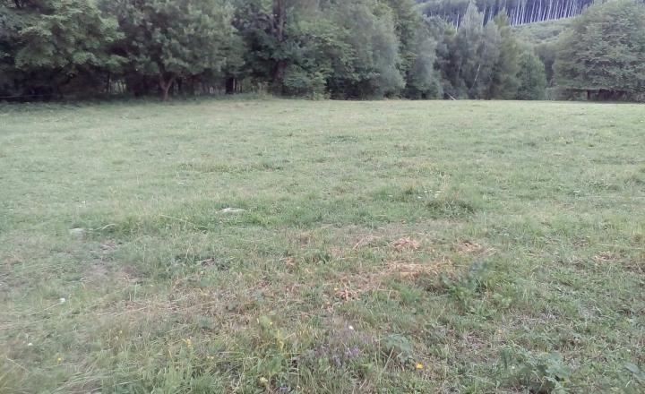 11 200 m2 Pozemok  - lúka (trvalý trávny porast ) na predaj