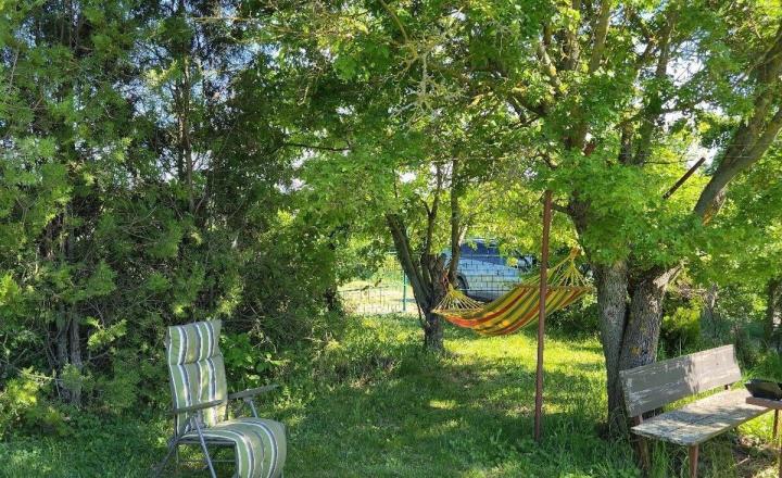 Na predaj rekreačná chatka s veľkým slnečným pozemkom pri Kučišdorskej doline – Pezinok TOP - fotografia 5