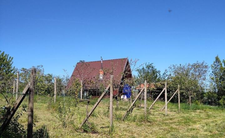 Na predaj rekreačná chatka s veľkým slnečným pozemkom pri Kučišdorskej doline – Pezinok TOP - fotografia 7