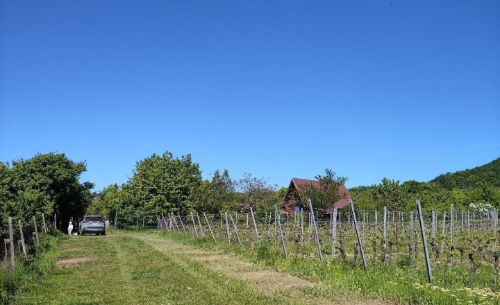 Na predaj rekreačná chatka s veľkým slnečným pozemkom pri Kučišdorskej doline – Pezinok TOP - fotografia 9
