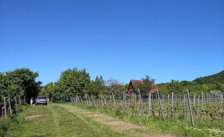 Na predaj rekreačná chatka s veľkým slnečným pozemkom pri Kučišdorskej doline – Pezinok TOP - fotografia 10