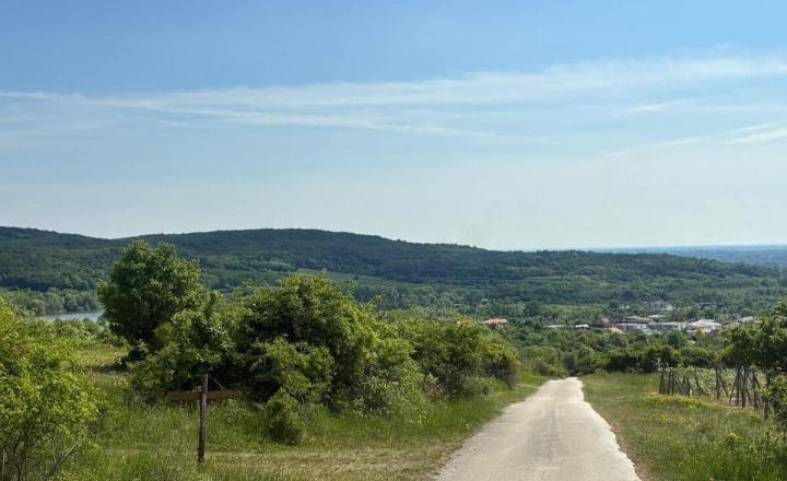 Na predaj rekreačná chatka s veľkým slnečným pozemkom pri Kučišdorskej doline – Pezinok TOP - fotografia 11