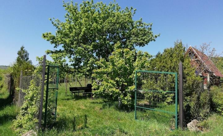 Na predaj rekreačná chatka s veľkým slnečným pozemkom pri Kučišdorskej doline – Pezinok TOP - fotografia 12