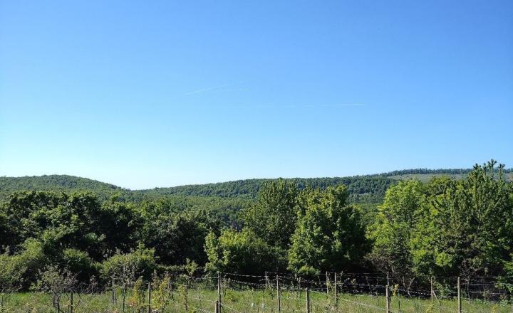 Na predaj rekreačná chatka s veľkým slnečným pozemkom pri Kučišdorskej doline – Pezinok TOP - fotografia 13