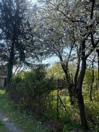 Predaj slnečnej záhrady, 330 m² – Agátová, Bratislava – Dúbravka - fotografia 14