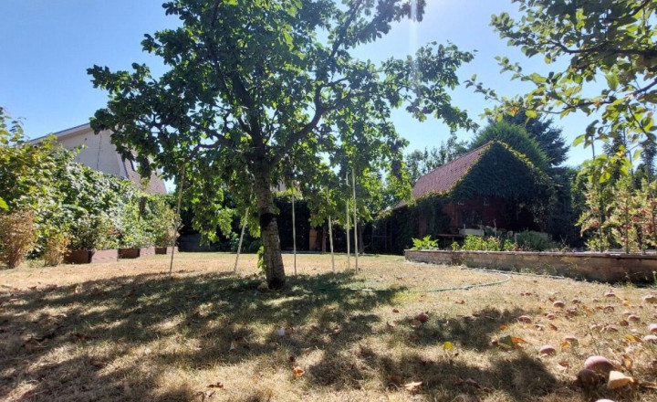 Na predaj rekreačný pozemok s výmerou 338 m2  - fotografia 3